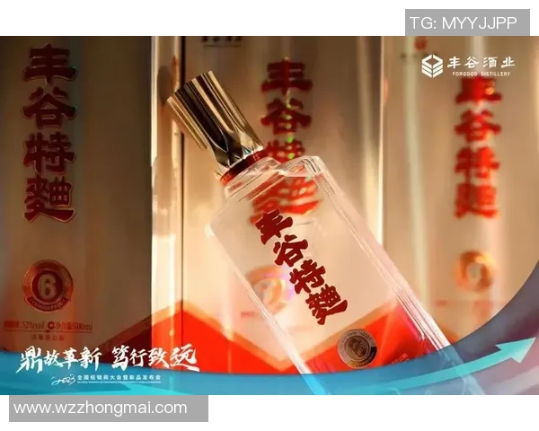 南京网球队的转型升级之路:从传统到创新的全面革新探索 南京网球队的转型升级之路:从传统到创新的全面革新探索