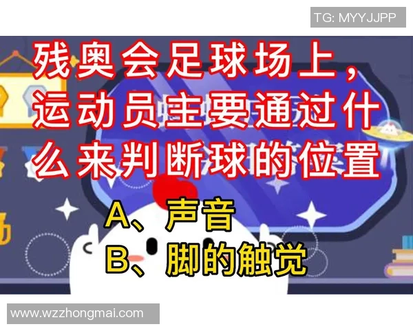 足球明星替补名单揭秘球场上的隐形战力与战术选择分析 足球明星替补名单揭秘球场上的隐形战力与战术选择分析