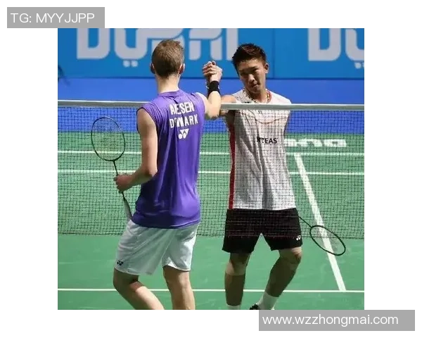 南京羽毛球队速度对比深度解析与战术优势探讨 南京羽毛球队速度对比深度解析与战术优势探讨