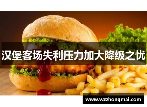 汉堡客场失利压力加大降级之忧