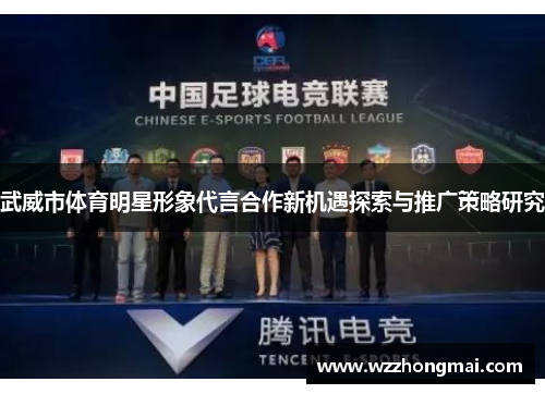 武威市体育明星形象代言合作新机遇探索与推广策略研究