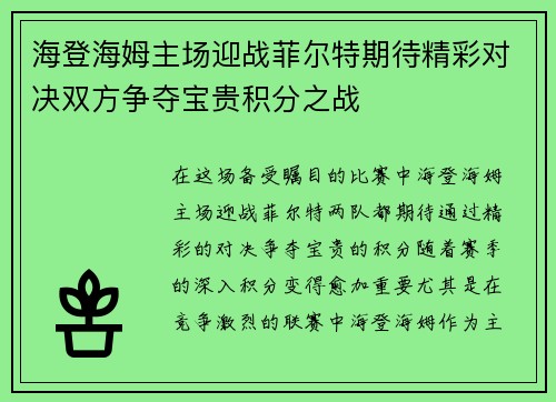 海登海姆主场迎战菲尔特期待精彩对决双方争夺宝贵积分之战